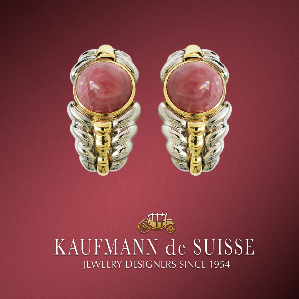 Stainless Steel and 18K Earrings